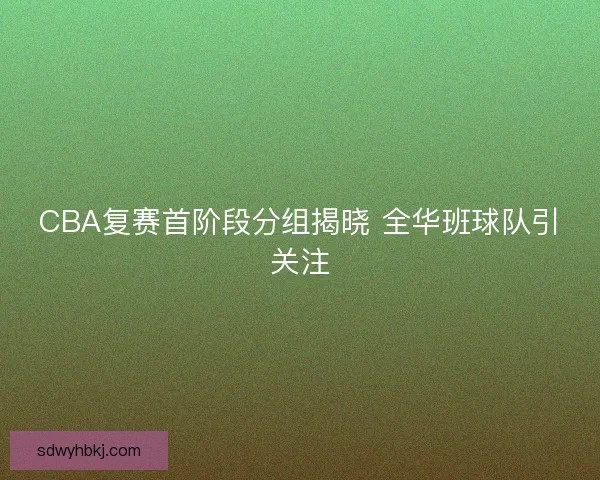 CBA复赛首阶段分组揭晓 全华班球队引关注