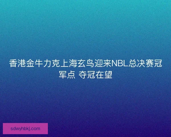 香港金牛力克上海玄鸟迎来NBL总决赛冠军点 夺冠在望